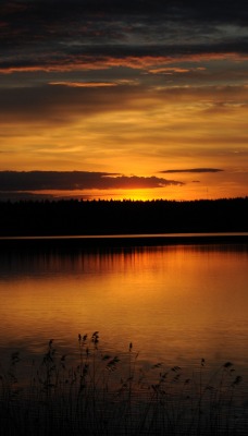 природа закат озеро деревья небо nature sunset the lake trees sky