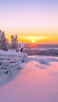 забор снег зима закат the fence snow winter sunset