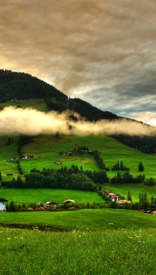 Гора зелень Mountain greens