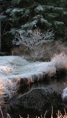 речка иней the river frost