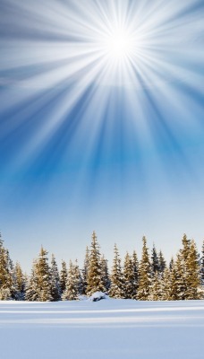 снег лучи солнце зима snow rays the sun winter