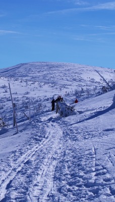 природа горизонт снег nature horizon snow