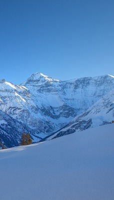 снег горы вершины snow mountains the top