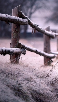 забор дорога иней the fence road frost