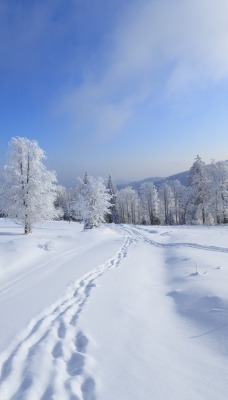 снег следы зима дорога snow traces winter road