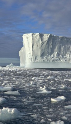 айсберг лед iceberg ice