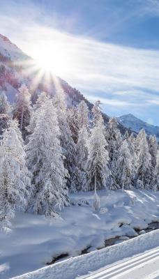 снег зима солнце горы snow winter the sun mountains