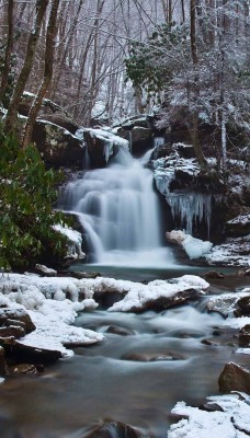водопад снег лес waterfall snow forest