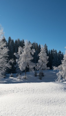 снег зима snow winter