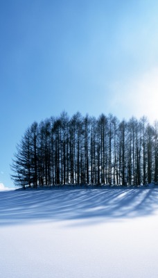 снег небо зима мороз snow the sky winter frost