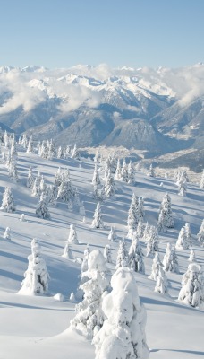 снег горы snow mountains