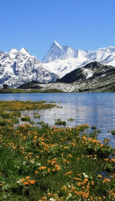 Горы снег речка Mountains snow the river