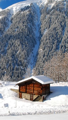 природа деревья снег зима дом nature trees snow winter the house