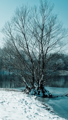 зима река winter river