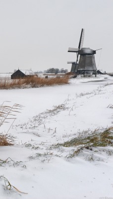 природа деревня дом снег зима забор мельница nature the village house snow winter fence mill