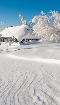 природа снег зима дом деревья nature snow winter the house trees