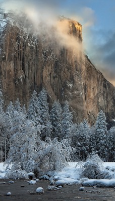 природа скалы деревья горы снег зима nature rock trees mountains snow winter