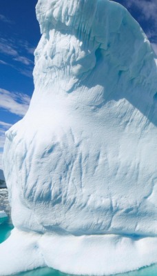 айсберг iceberg