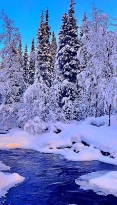 зима речка снег winter the river snow