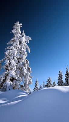 снег зима snow winter