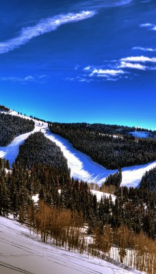 природа деревья снег зима небо nature trees snow winter the sky