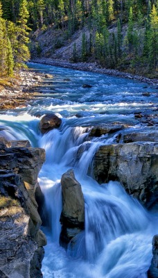 водопад река лесная