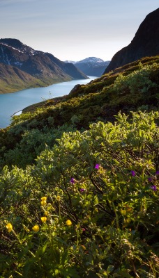 озеро горы the lake mountains