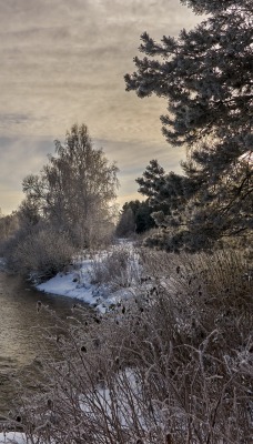 природа река трава деревья