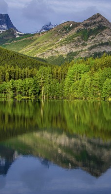 отражение лето лес горы вода