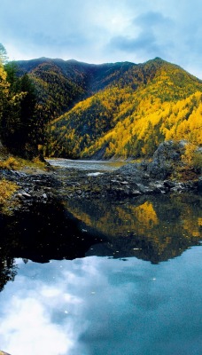 река осень river autumn