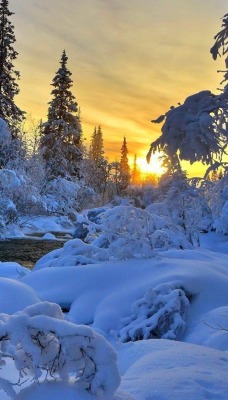зима закат снег речка winter sunset snow the river
