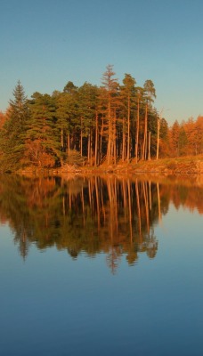 природа река отражение деревья осень