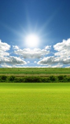 природа горизонт небо облака солнце поле трава nature horizon the sky clouds sun field grass