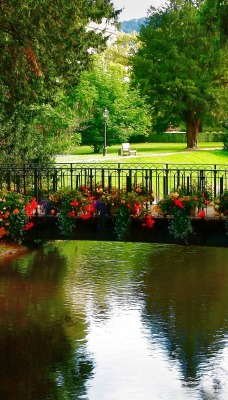 мост цветы речка