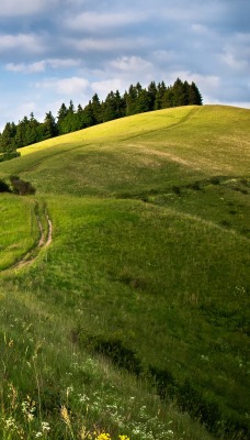 дорожка холмы track hills