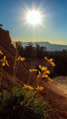 солнце каньон песок the sun canyon sand