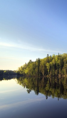 природа деревья река отражение