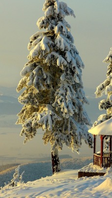 высота беседка снег зима height gazebo snow winter