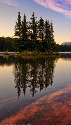 природа озеро отражение деревья