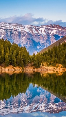 осень горы лес отражение autumn mountains forest reflection