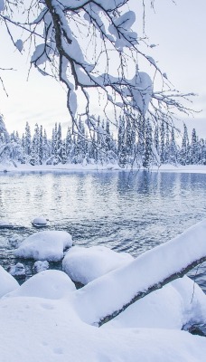 снег озеро зима snow the lake winter