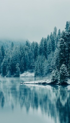 озеро зима иней the lake winter frost