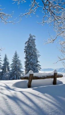 снег лавочка зима дерево snow shop winter tree