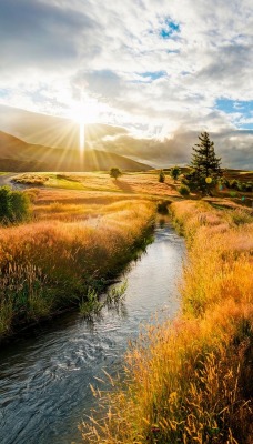 речка осень закат трава the river autumn sunset grass