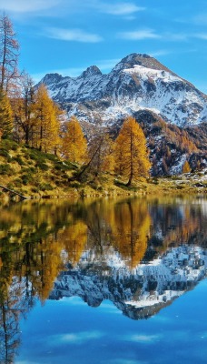 природа озеро горы скалы деревья отражение