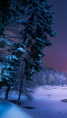Ночь снег зима