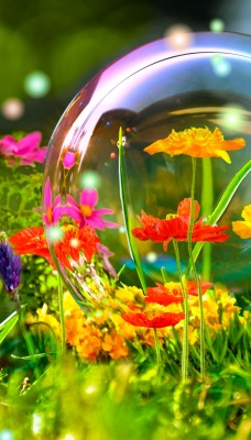 цветы краски пузырь