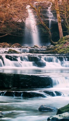 природа водопад река деревья