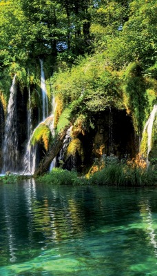 природа река водопад деревья