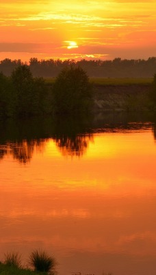 природа деревья река отражение